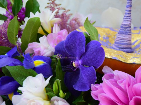 Purple Storm - dovleac cu flori